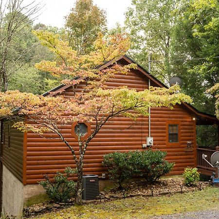 Mountain Seclusion Villa Sevierville Dış mekan fotoğraf